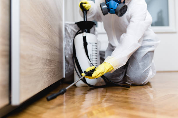 Best Residential Pest Control  in Silverdale, WA