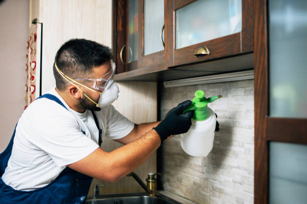 Best Cockroach Control Services  in Silverdale, WA
