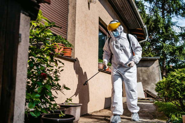Best Bird Control  in Silverdale, WA
