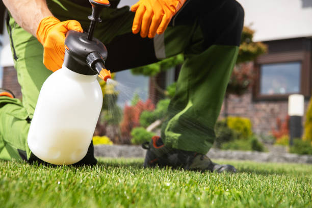 Best Local Pest Control Services  in Silverdale, WA