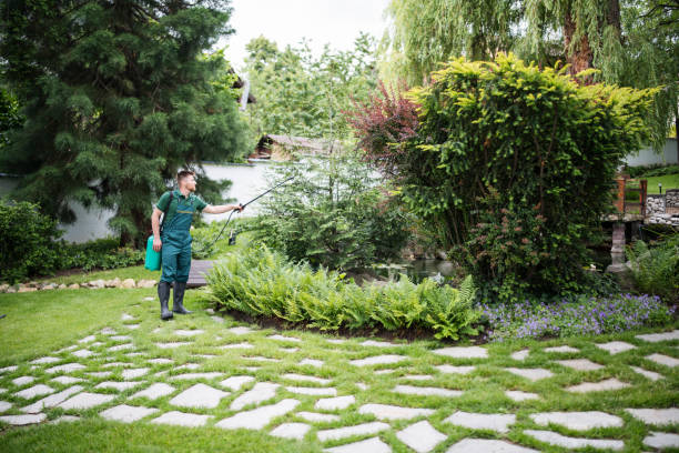 Best Exterminator Services  in Silverdale, WA