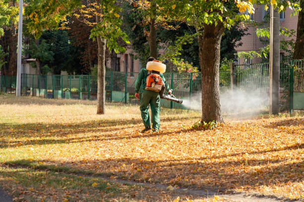Professional Pest Control in Silverdale, WA
