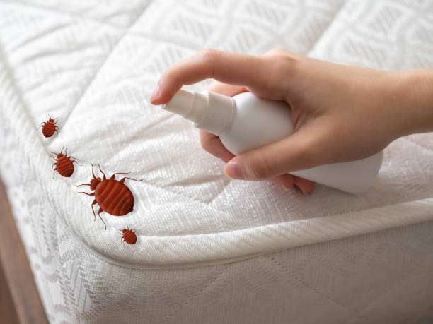 Best Affordable Exterminators  in Silverdale, WA