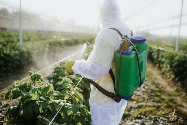 Best Pest Inspection Near Me  in Silverdale, WA